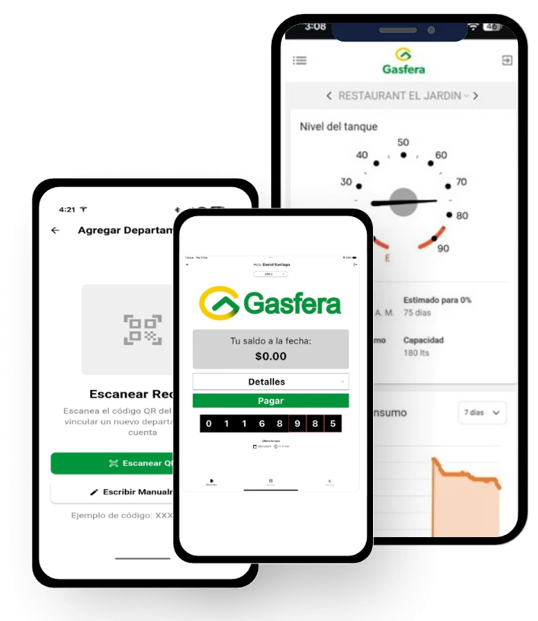 Imágenes de la app mostrando datos del servicio